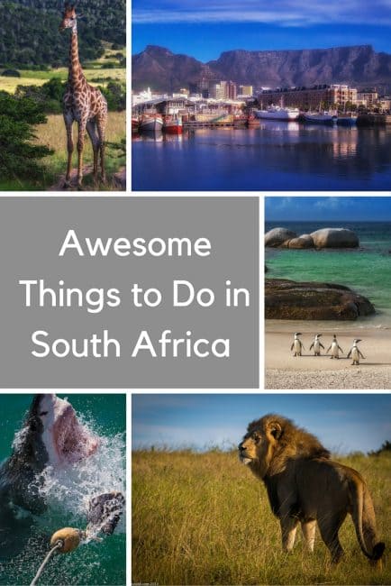 essay on south africa my country essay on south africa my country