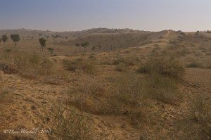 Thar Desert in Bikaner India