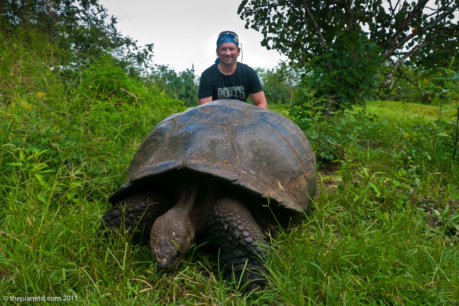animal encounters galapagos