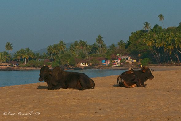 Patnem Beach Goa