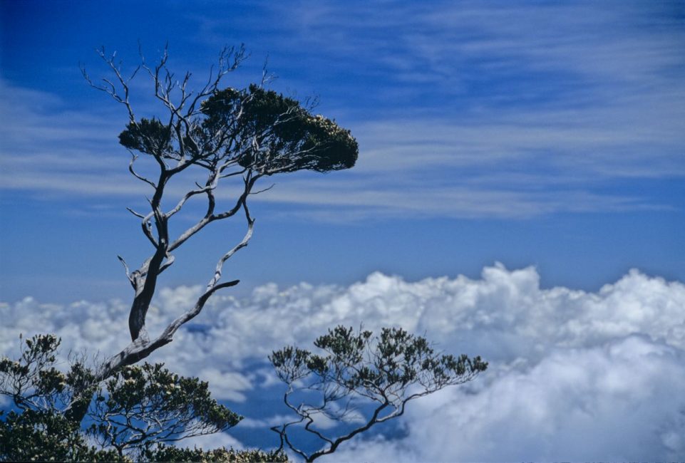 Mount Kinabalu-Malaysian Borneo-Laban Rata Mount Kinabalu-Malaysian Borneo-Laban Rata