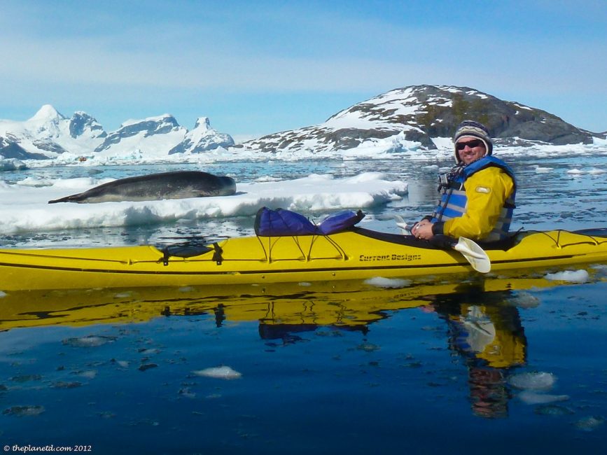 Kayaking top things to do in Antarctica