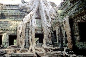 Ruins-of-the-World-Angkor-Wat Ruins-of-the-World-Angkor-Wat
