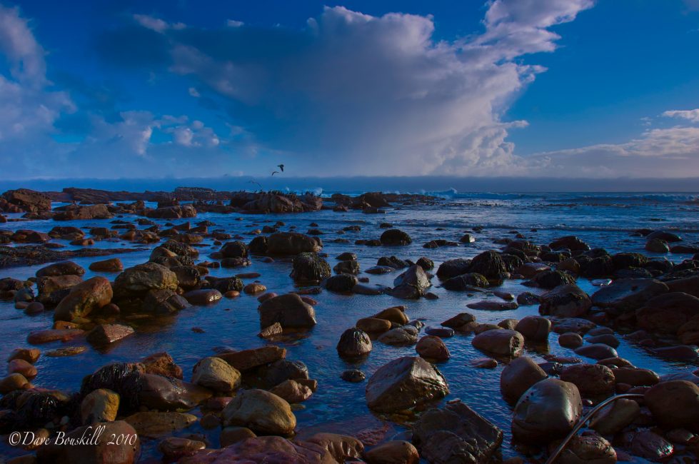 things to do in Cape Town