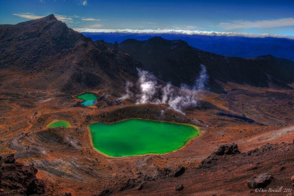 15-unique-things-to-do-in-new-zealand-the-planet-d