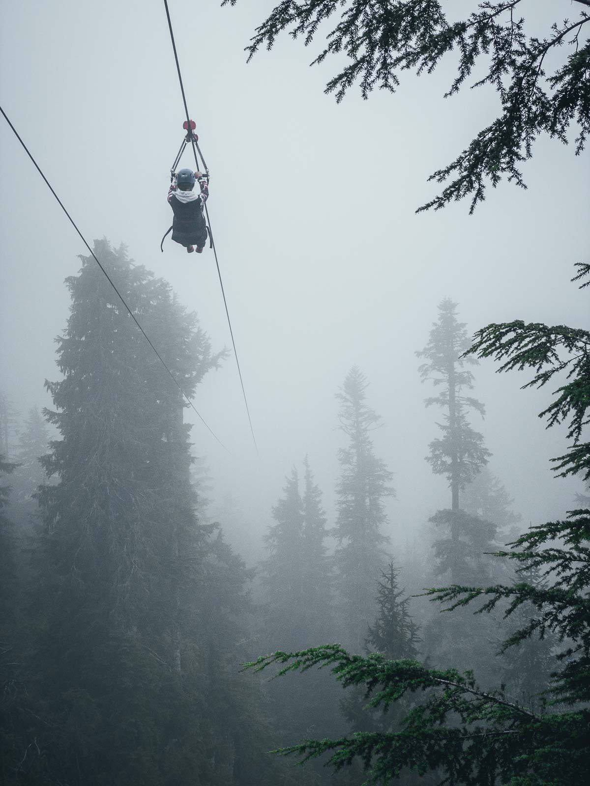 30 Awesome Things To Do In Whistler BC TravellyClub