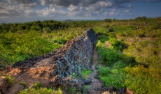 The Dark History of the Galapagos Islands