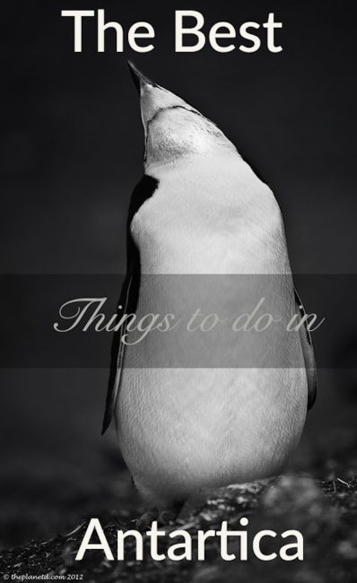 best things to do in Antarctica content best things to do in Antartica