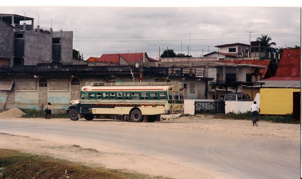 A typical bus, comfy eh?