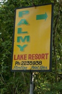 cabinpalmy4