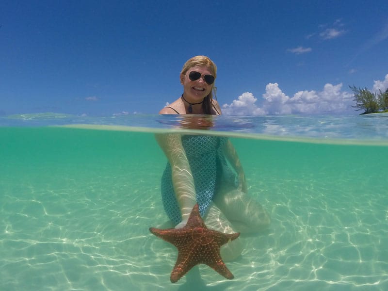 deb starfish