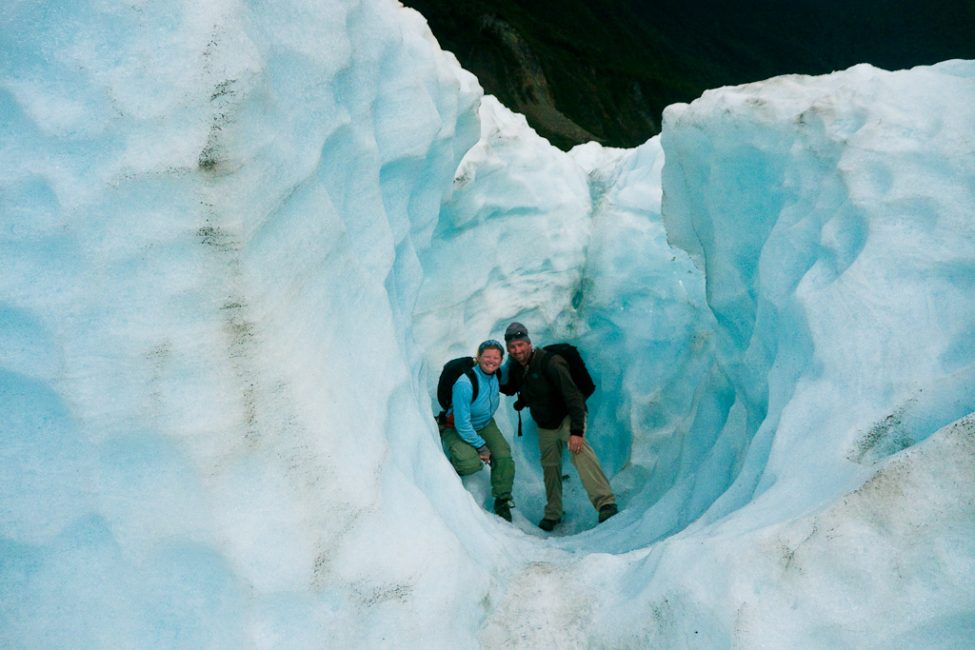 glacier fox