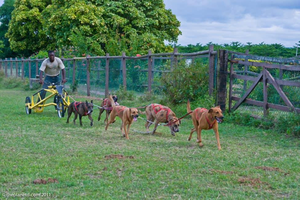 Jamaica Beyond the Beach