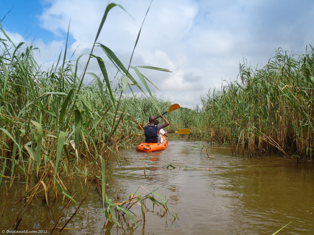 kayak safari with Crocodiles