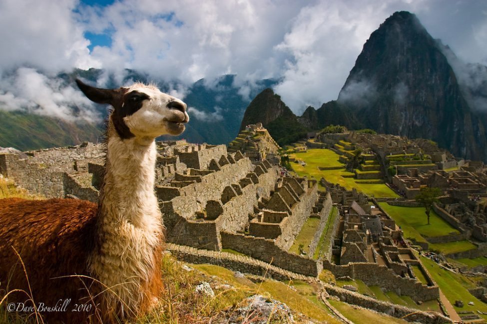 Peru Picchu