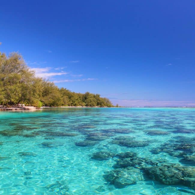coral beach of moorea moorea beach