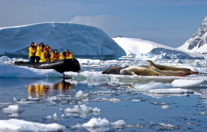 things to do in Antartica zodiac tours