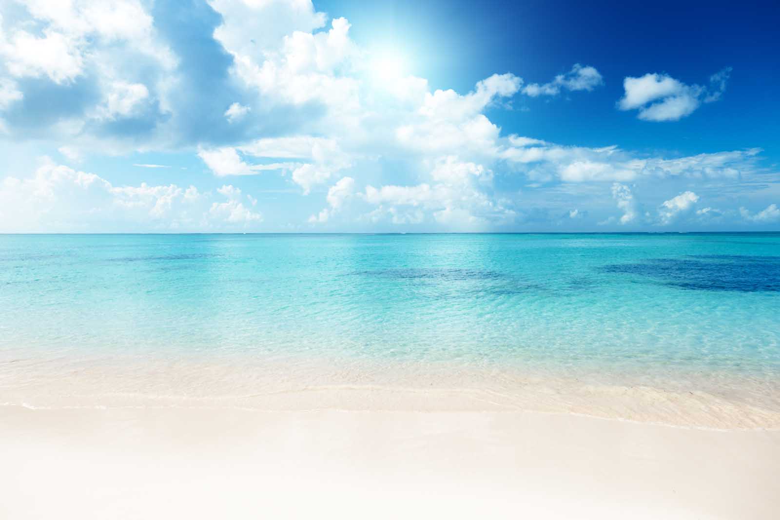 caribbean