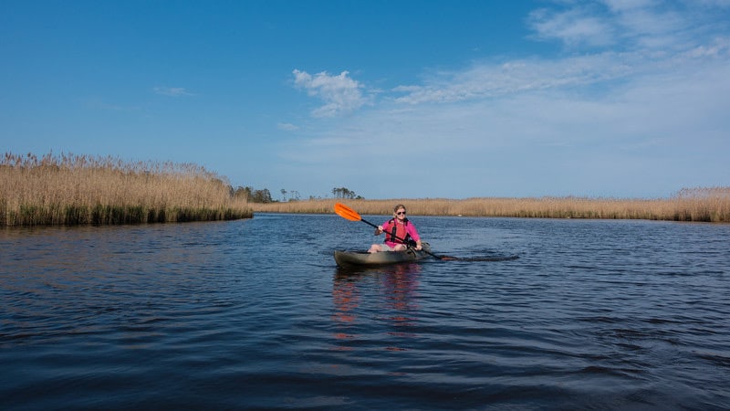 what to do in Virginia Beach Wildlife Refuge