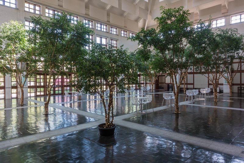 what to do in Virginia Beach MOCA