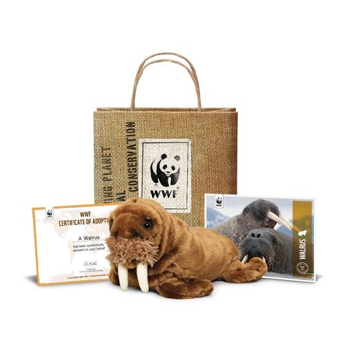 wwf adoption stuffed animals