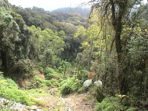 dsc00977