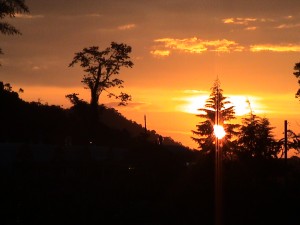 dsc01014