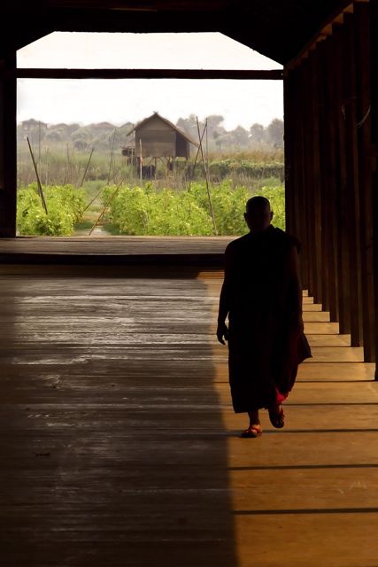 Myanmar-Inle-Lake-Meditation-Monk Myanmar-Inle-Lake-Meditation-Monk