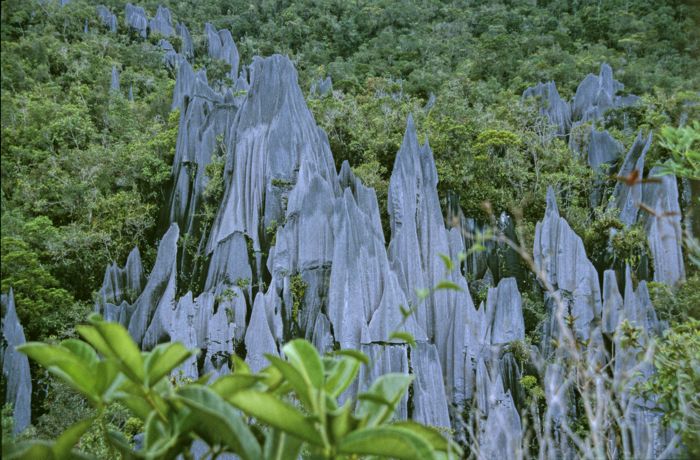 Pinnacles-borneo-travel-secrets A best kept travel secret, the Pinnalces of Borneo