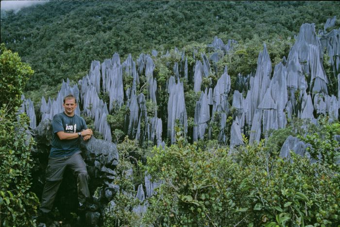 pinnacles-view-malaysia-borneo-sarawak gunung mulu, pinnacles of Borneo
