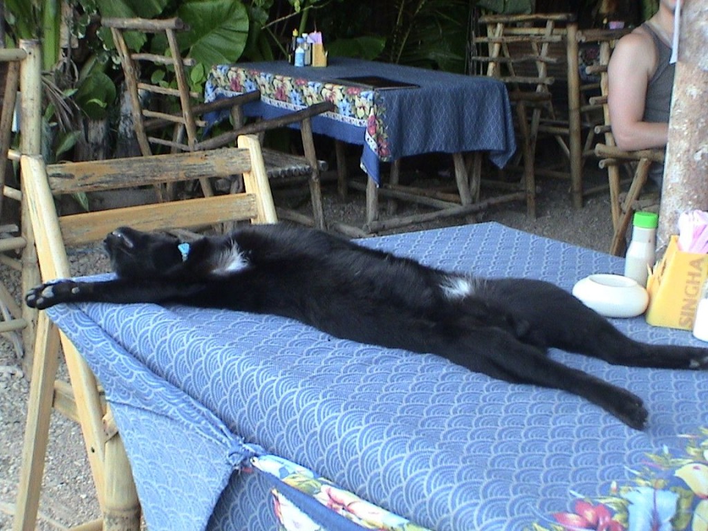 Yes, still sleeping