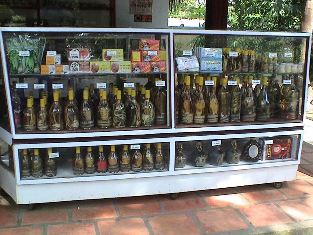 Snake WIne, Vietnam Souvenirs for Sale at Cu Chi