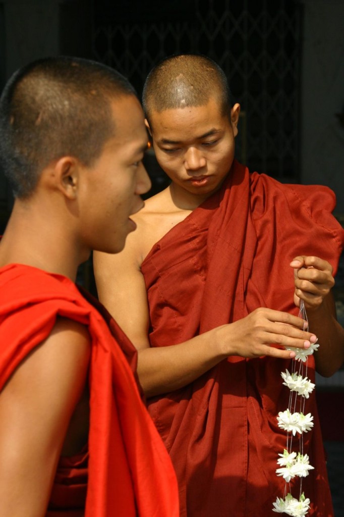 Young Monks
