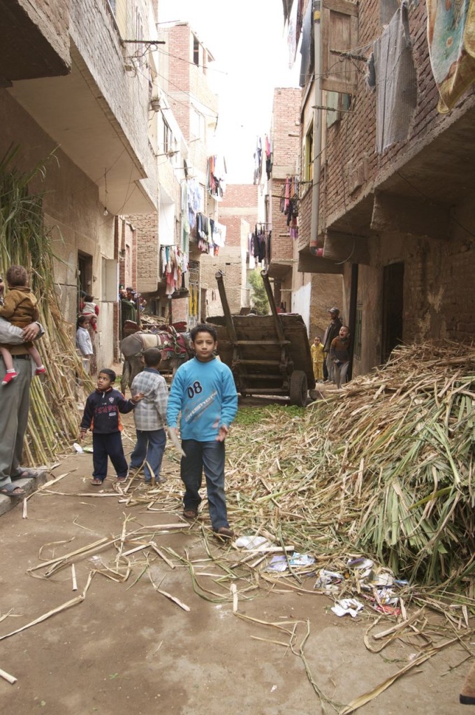 plan-project-cairo-egypt a project area supported by Plan canada