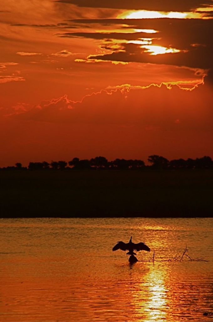 Gorgeous Sunset