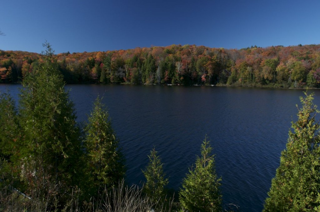 The Fall Colours on a Lake in Haliburton