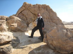 dave white desert