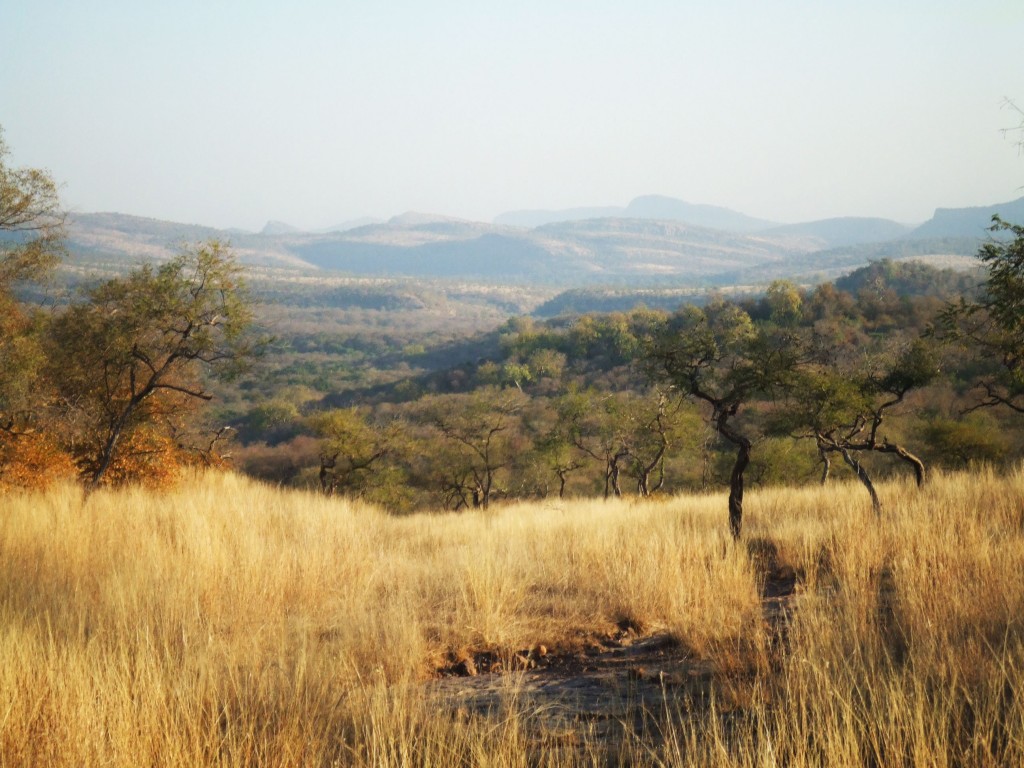 ranthambore