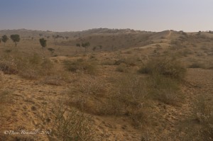Thar Desert in Bikaner India