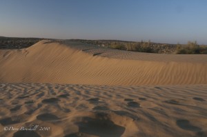 Thar Desert in Jaisalmer