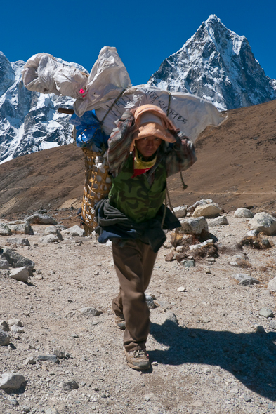 Sherpa Himalaya