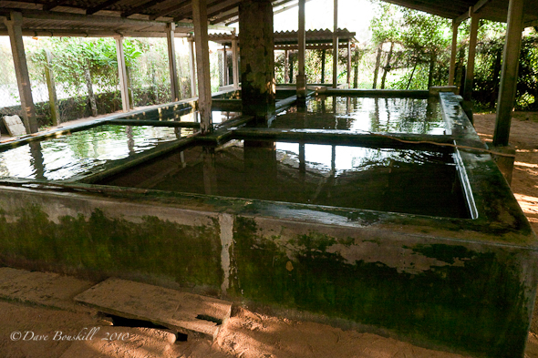 SriLanka-Kosgoda-Turtle Hatchery04710Feb-7 Tanks housing injured turtles