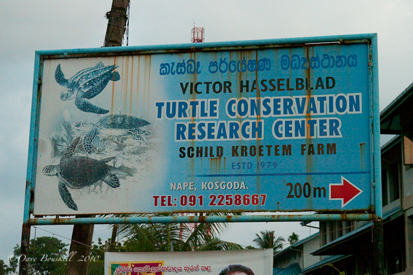 SriLanka-Kosgoda-Turtle Hatchery08510Feb-12 Follow this Sign