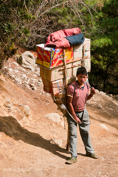young-Sherpa-boy-nepal.jpg