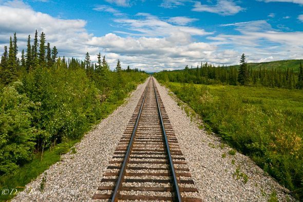 Rolling down the Alaska Railway