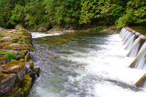 Vancouver's Capilano Canyon And Stanley Park