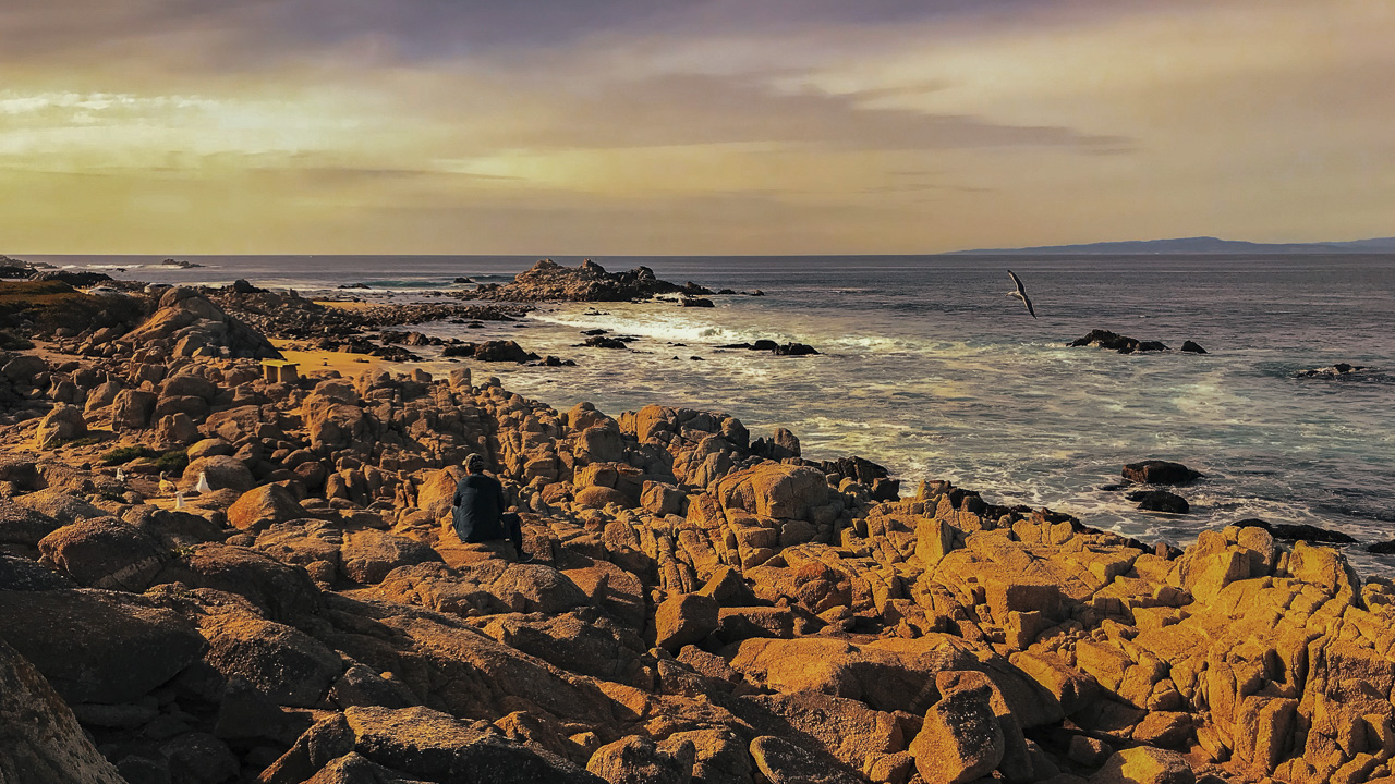 17 mile drive beaches