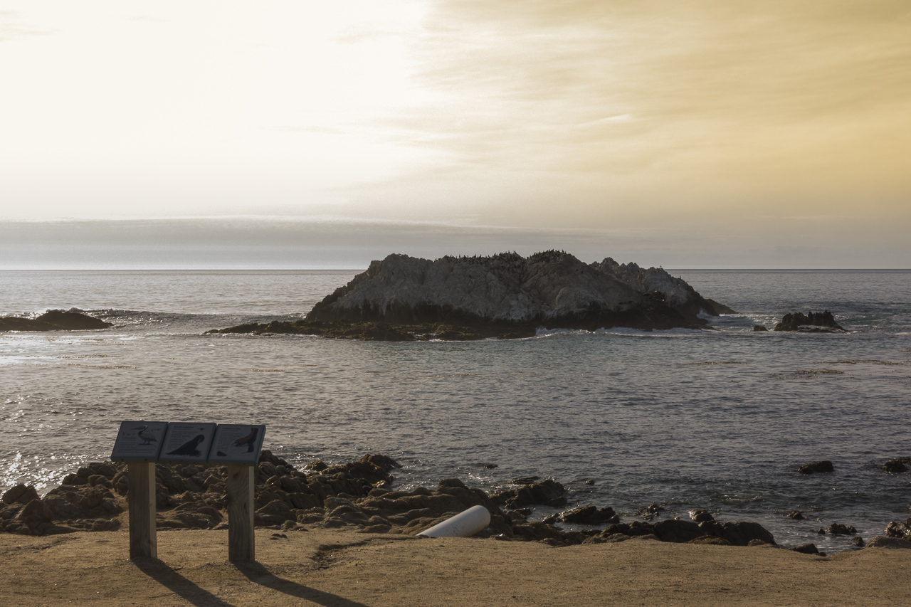 Bird Rock, along 17 Mile Drive, is a little smaller today.