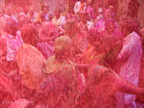 holi powder in crowd india