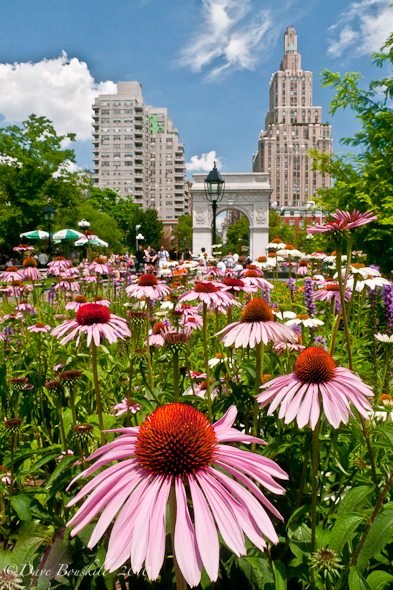 New York City-Washington Square Park New York City-Washington Square Park